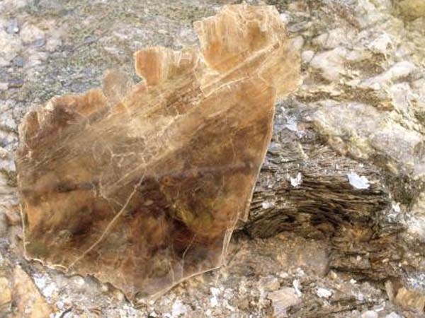 云母含鐵愈高時，顏色愈深，同時多色性和吸收性增強